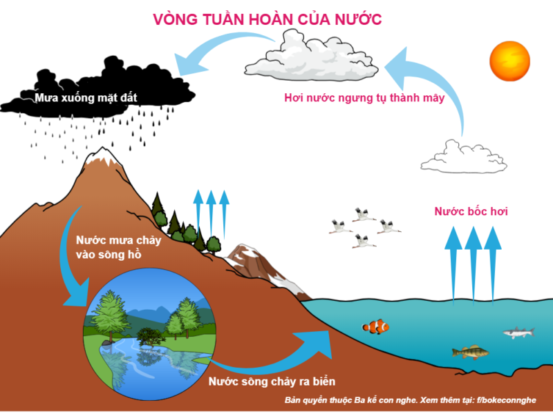 https://dethitracnghiem.vn/wp-content/uploads/2025/04/7FNfXvv.png