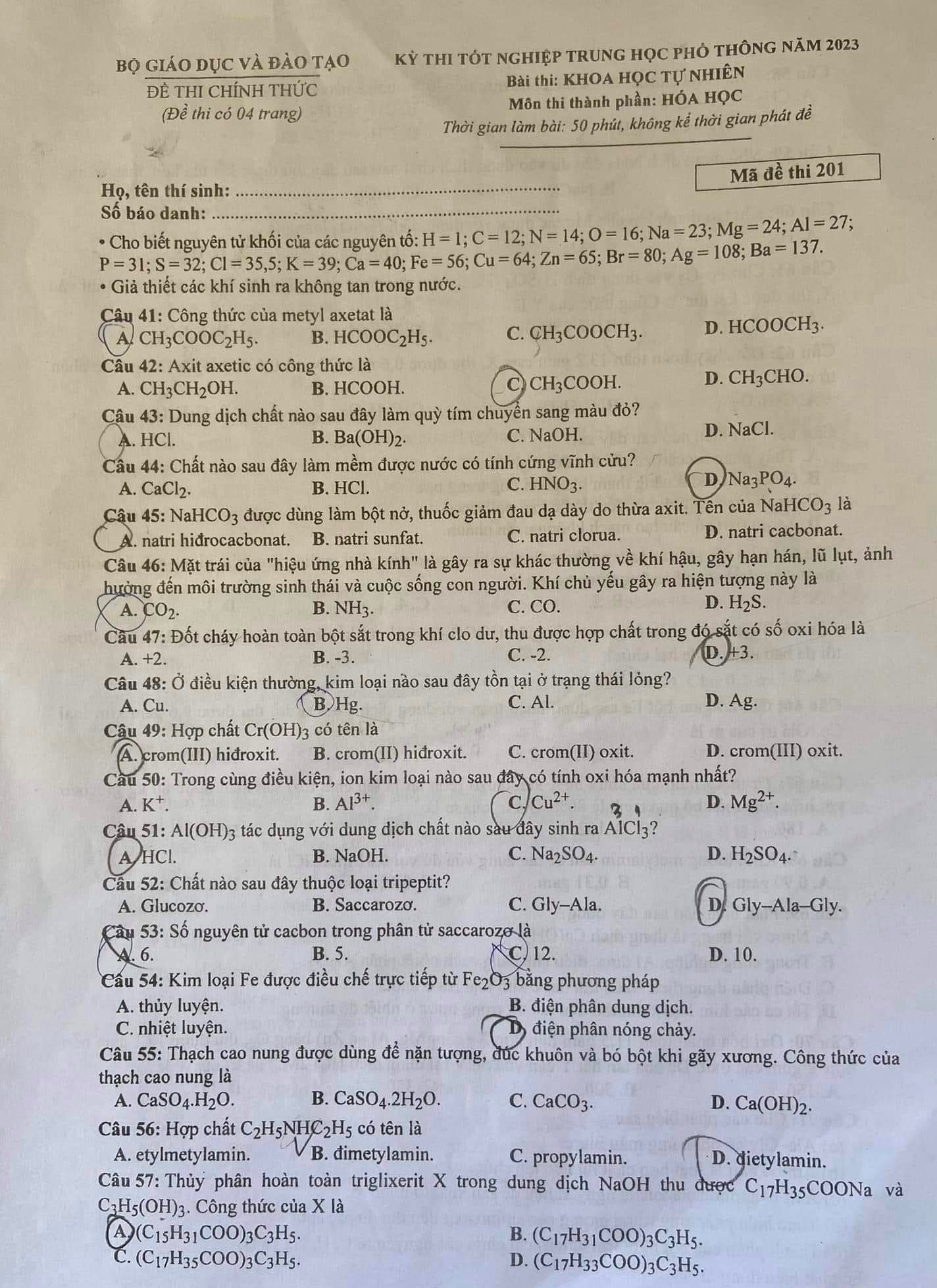 8408230b-a4c6-45e4-9b9c-51da27da7816.jpeg