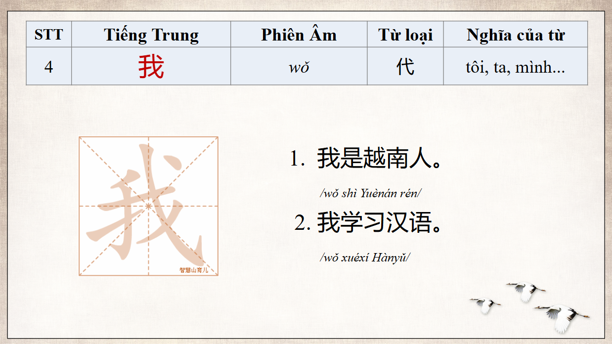 Slide 6 ôn tập bài học