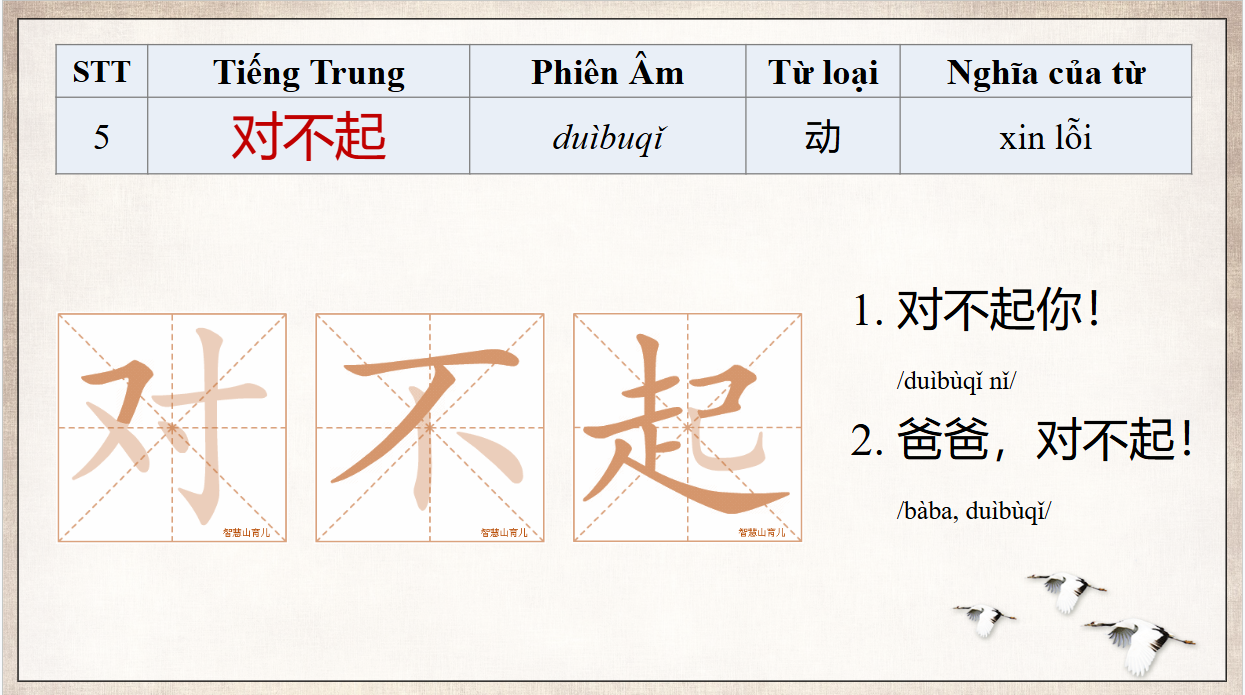 Slide 5 từ vựng xin lỗi